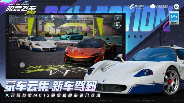 极品飞车集结手游官网VIP版