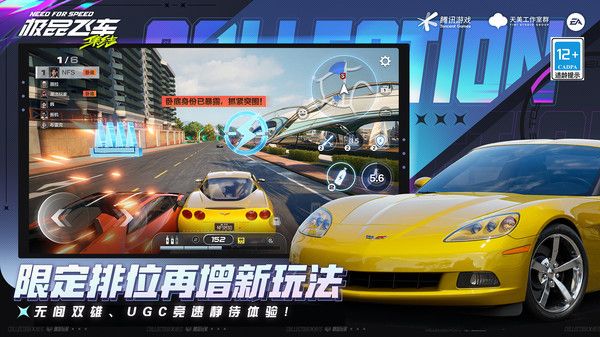 极品飞车集结手游官网免费版本