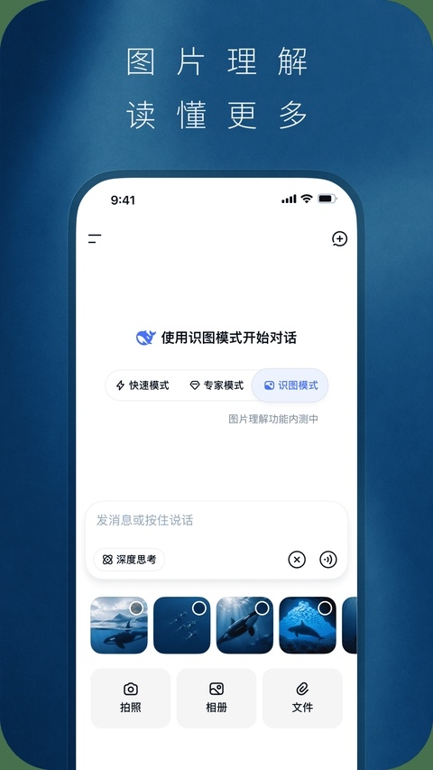 DeepSeek最新版