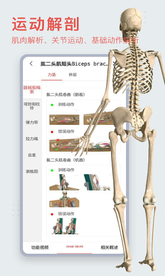 3DBody破解版最新